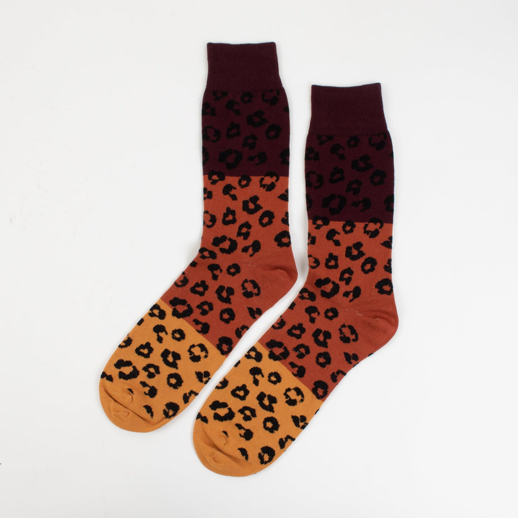 Late Night Leopard