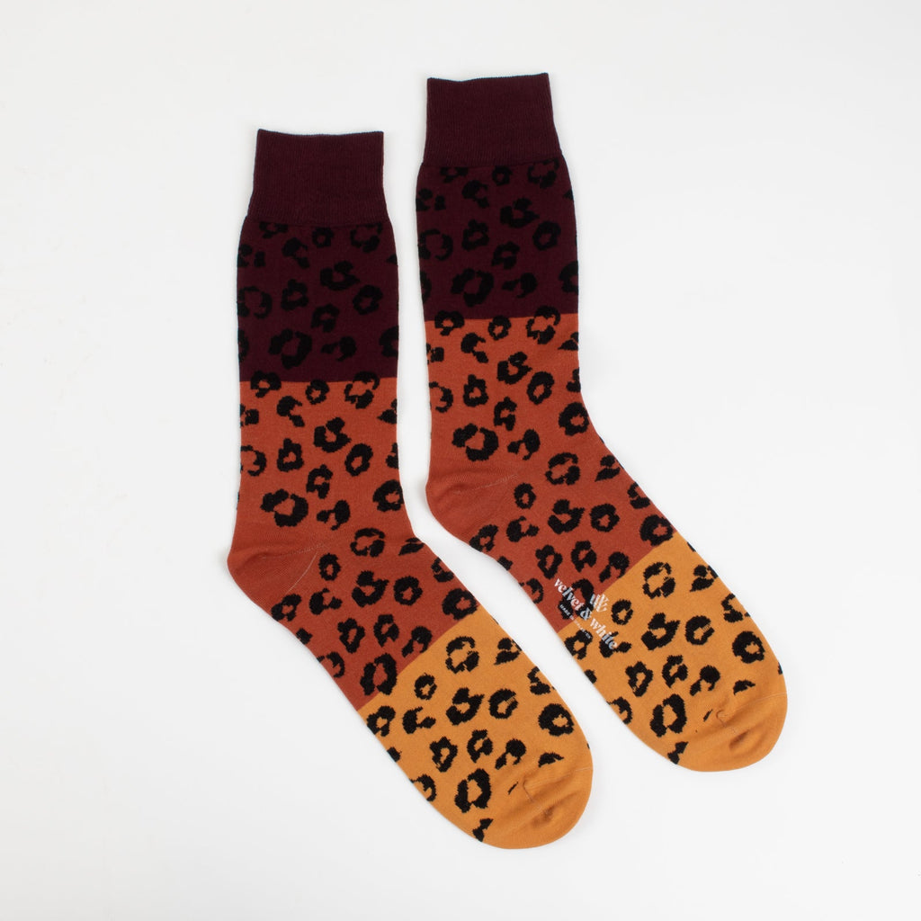 Late Night Leopard