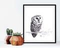 Cute Baby Owl - Black and White Nursery Wildlife deco Art Print